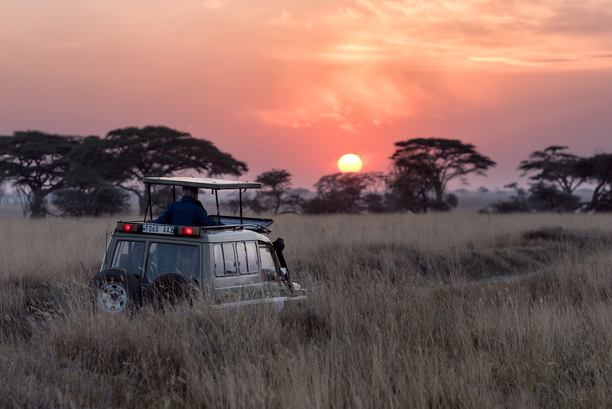Safari Kenia y Tanzania