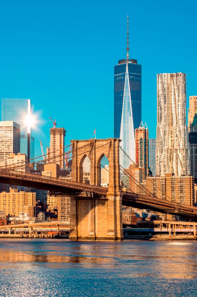 Especial Washington fin NY