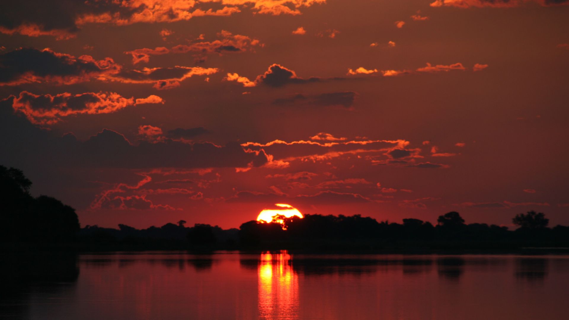 Maun