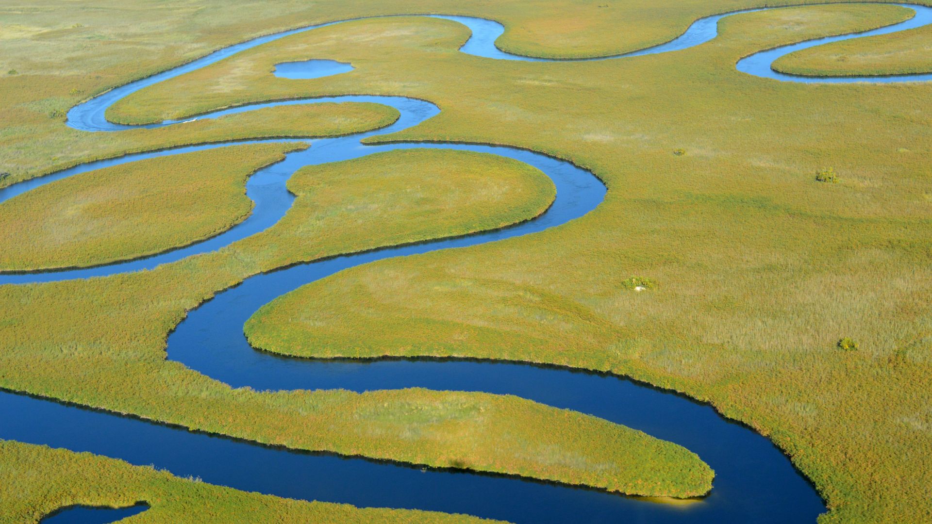 Deltadel Okavango