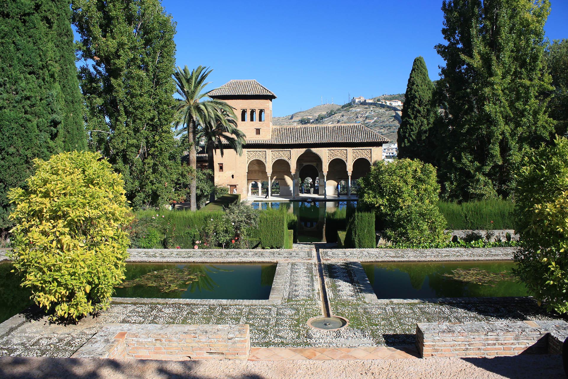 DELICIAS DE ESPAÑA (Opción 1)