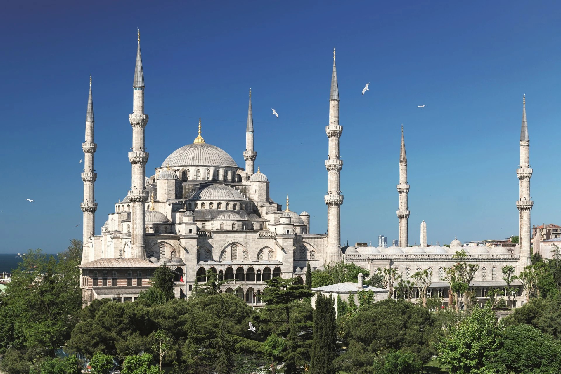 Esplendores de Estambul (Básico)