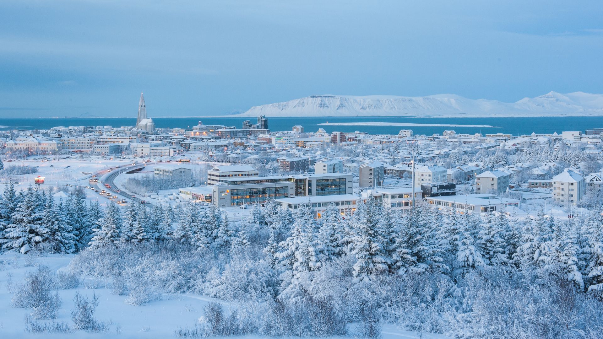 GRAN ISLANDIA BOREAL