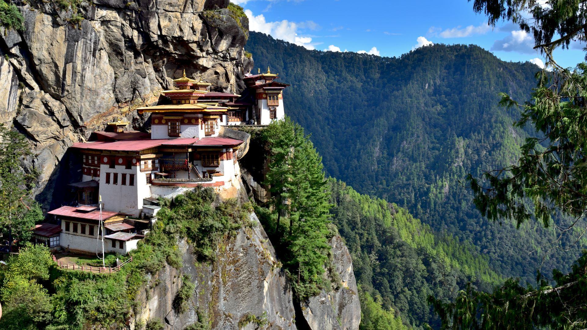 Paro