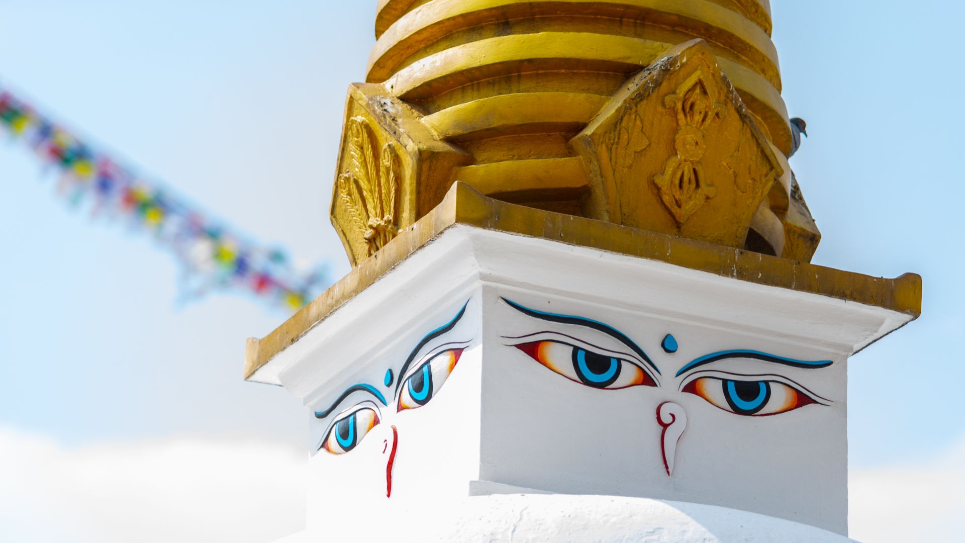 INDIA Y NEPAL CLÁSICA