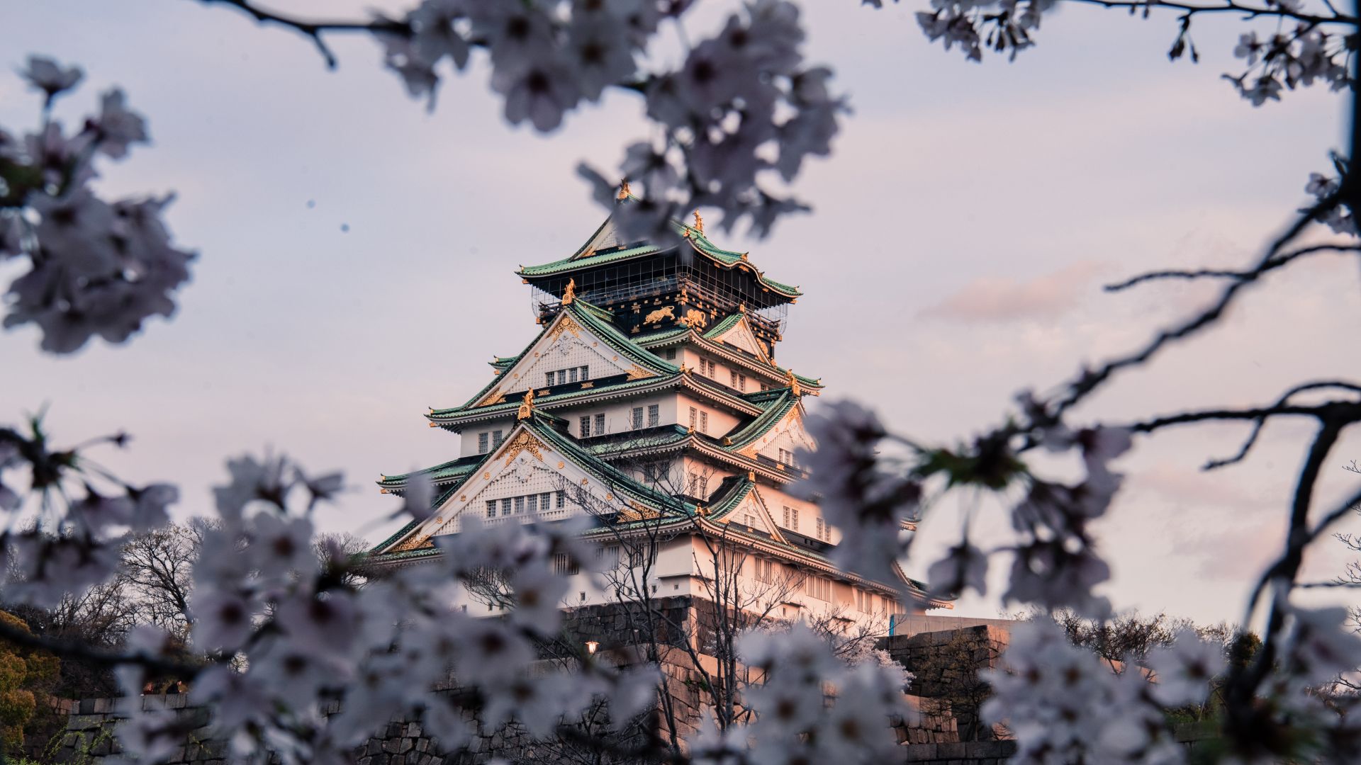 JAPÓN (MIKATOUR EXPRESO)