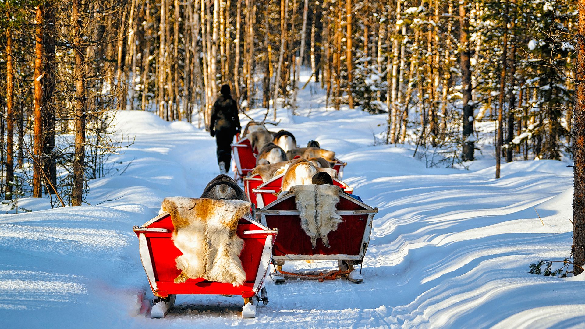 LA MAGIA DE SANTA CLAUS (Finlandia)