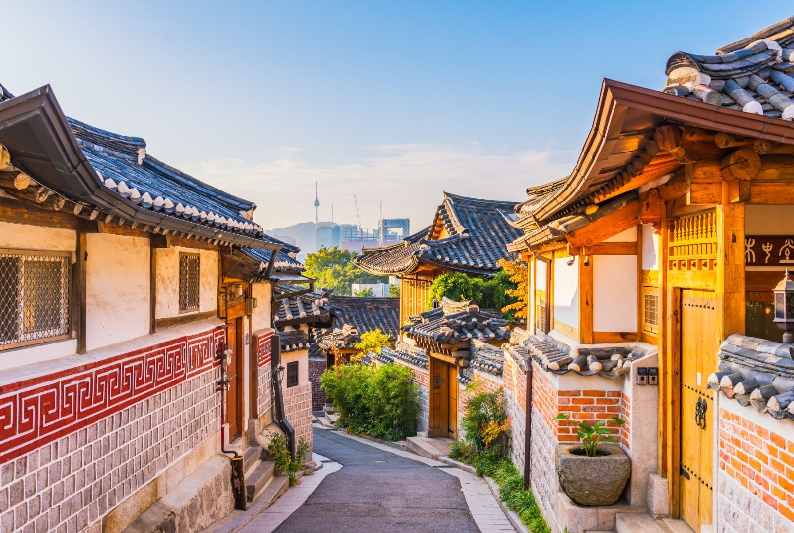 LATIDOS DE COREA