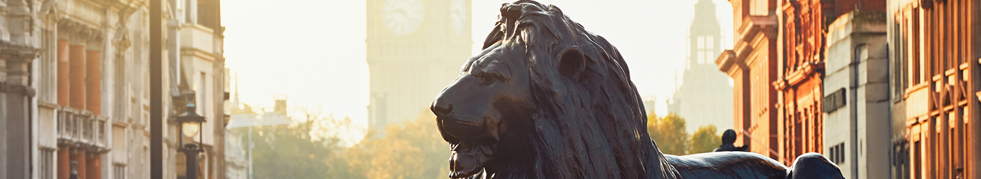 LIONS