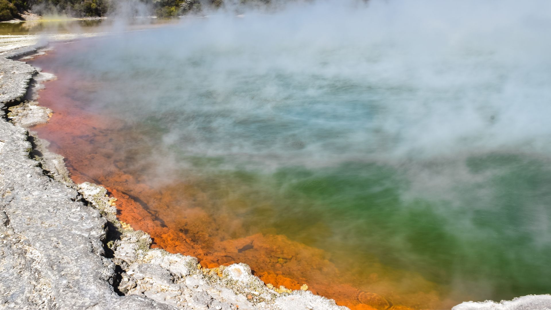 Zelanda Rotorua