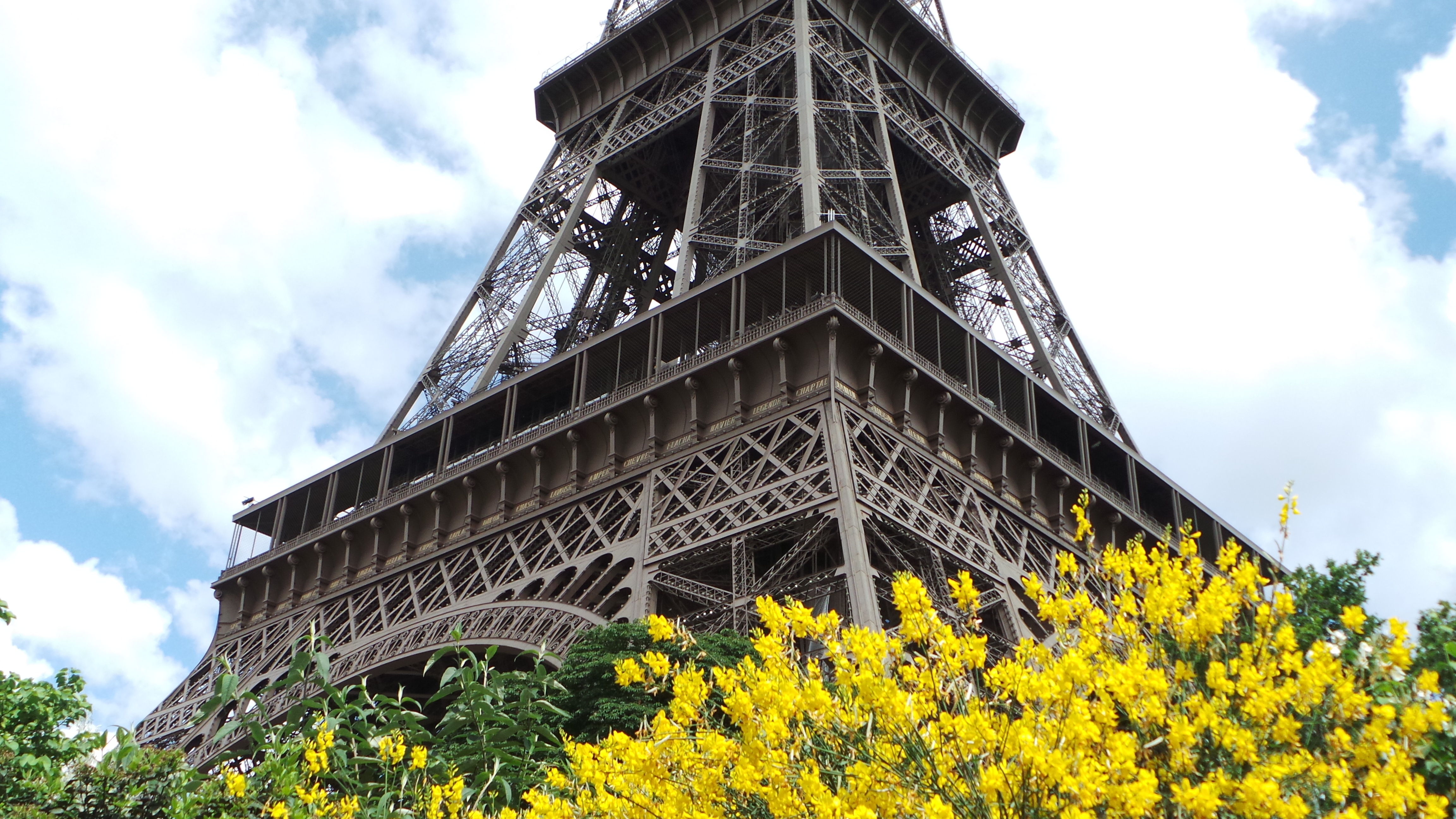 PARIS Y AMSTERDAM