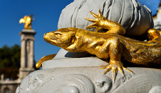 SALAMANDRA (MAD-PAR)