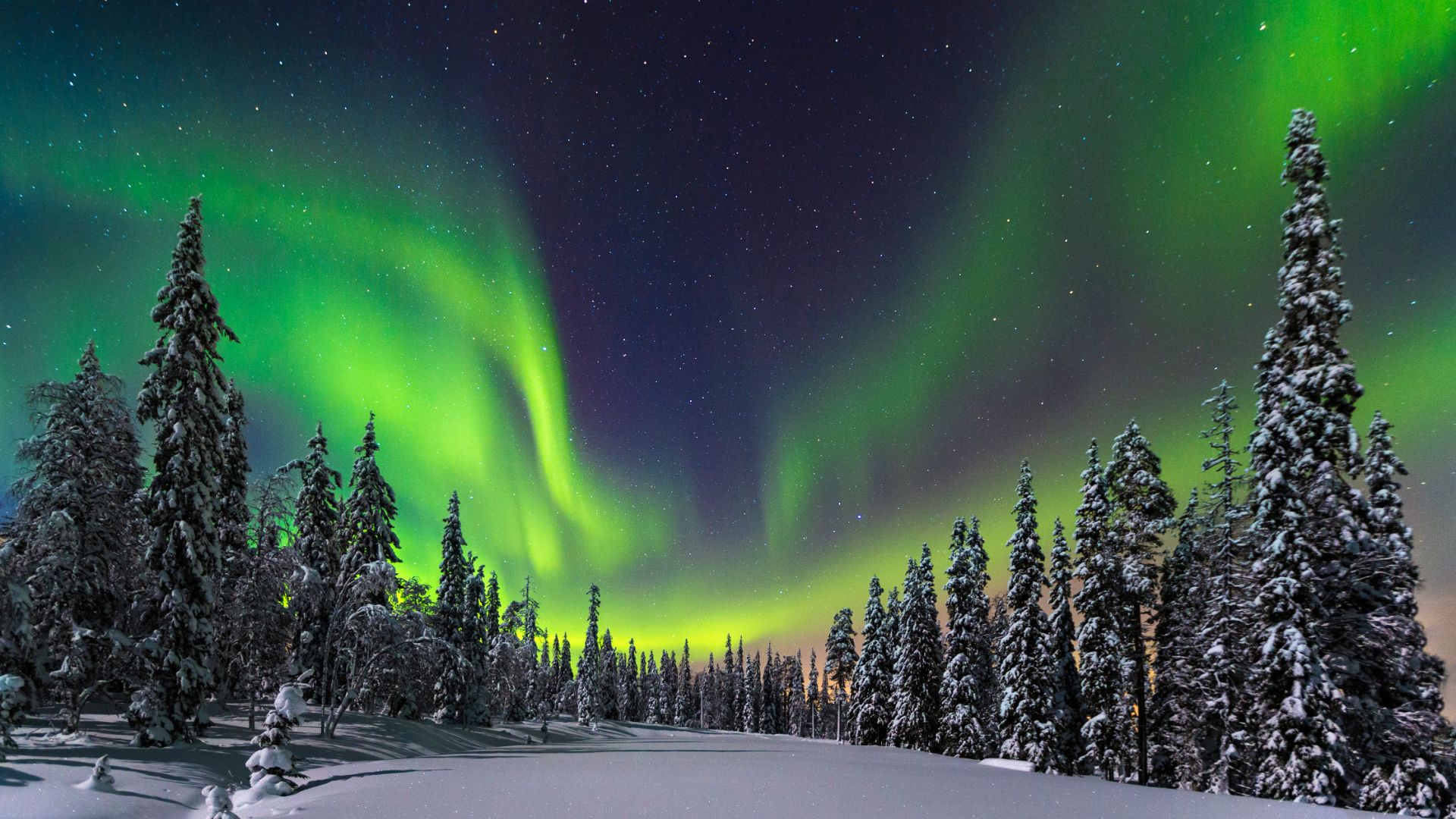 SANTA CLAUS Y AURORA BOREAL (Finlandia)