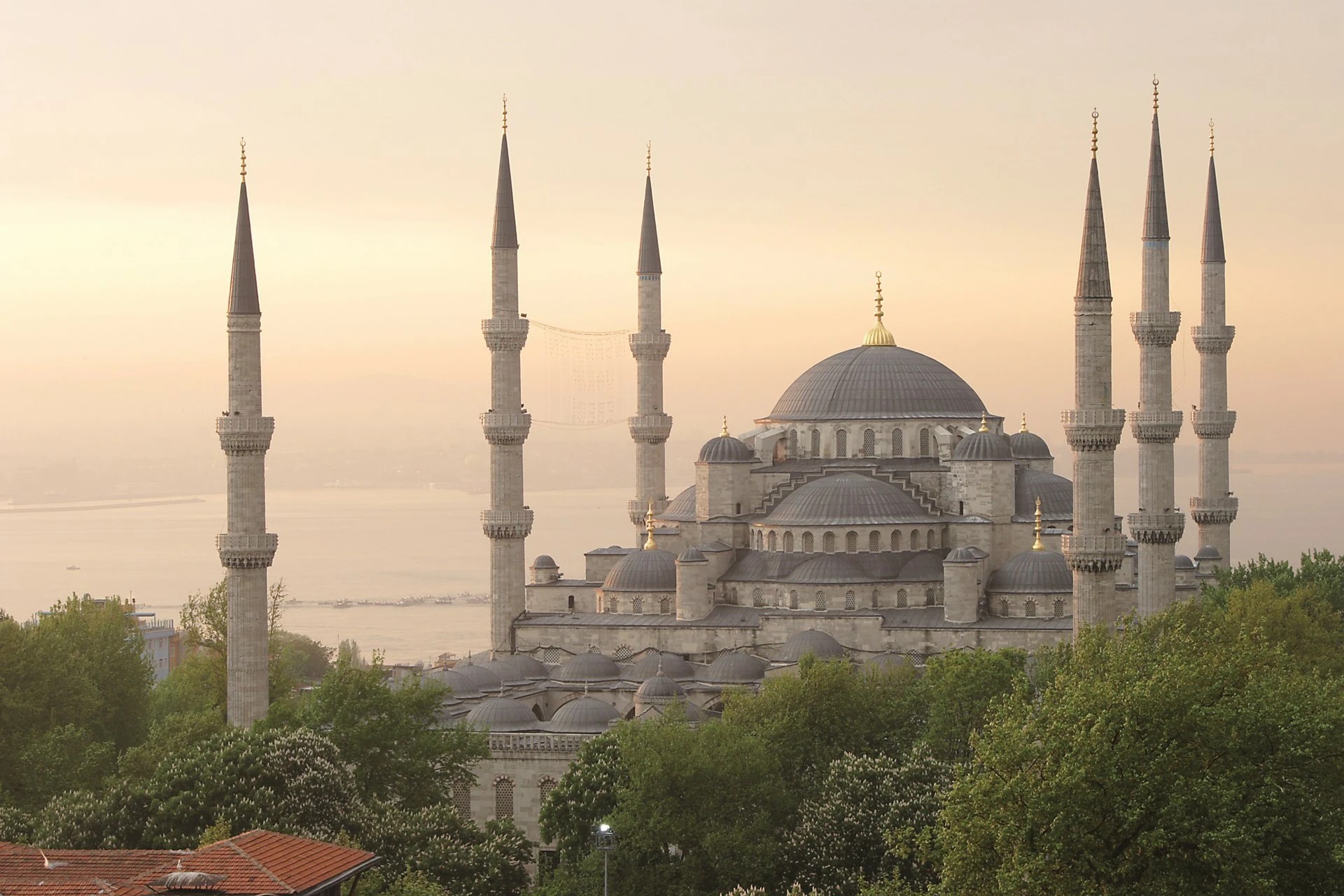 Super Oferta Turquía Relax