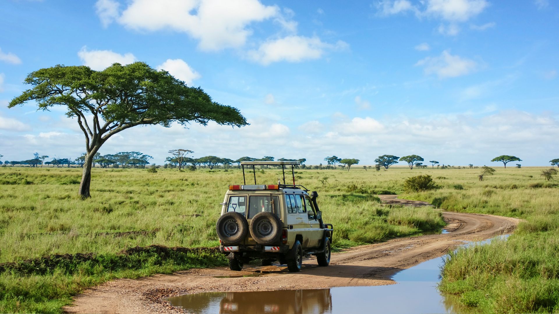 Serengeti
