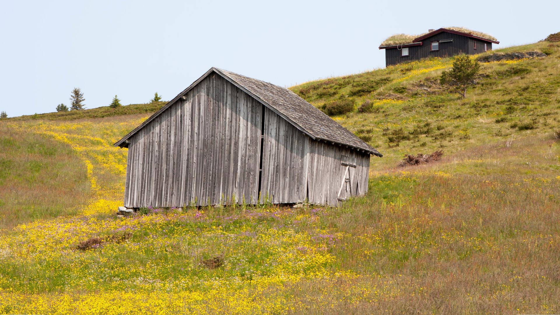 Oppland